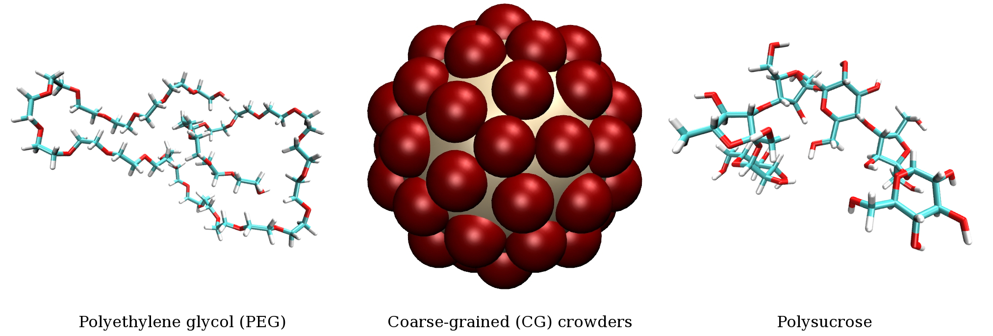 OPUS and IDUB Tandems for Excellence Biomolecular Machines Laboratory